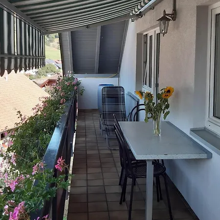 Am Geissberg Apartment Kleines Wiesental