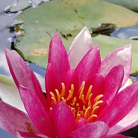 Appartement Am Geissberg Kleines Wiesental