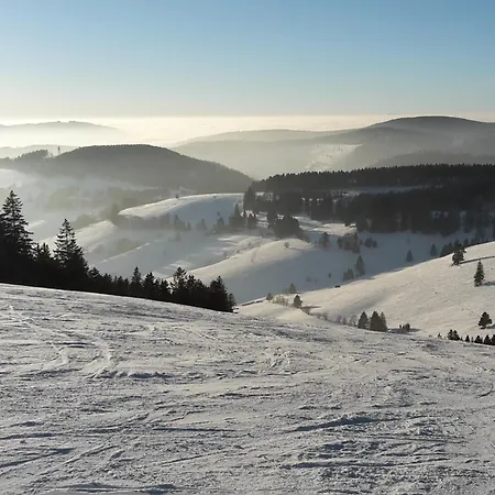 Appartement Am Geissberg