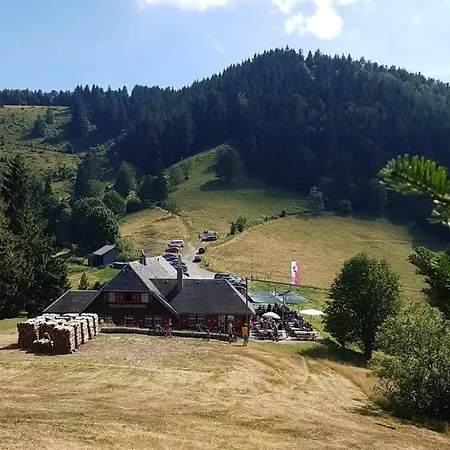 Am Geissberg Kleines Wiesental