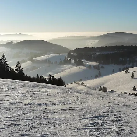 Am Geissberg * Kleines Wiesental