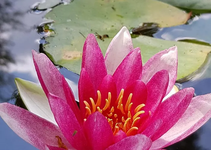 Lägenhet Am Geissberg Kleines Wiesental