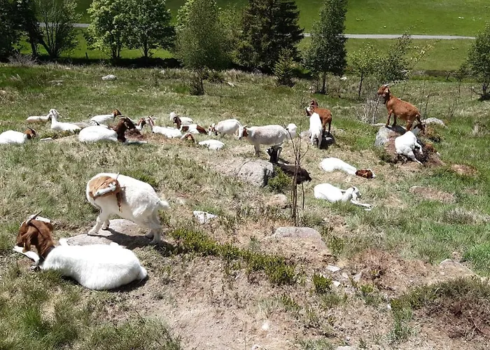 Am Geissberg Lägenhet *